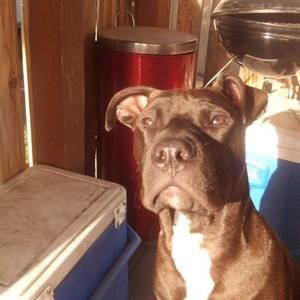 Meet your Posher, Karl